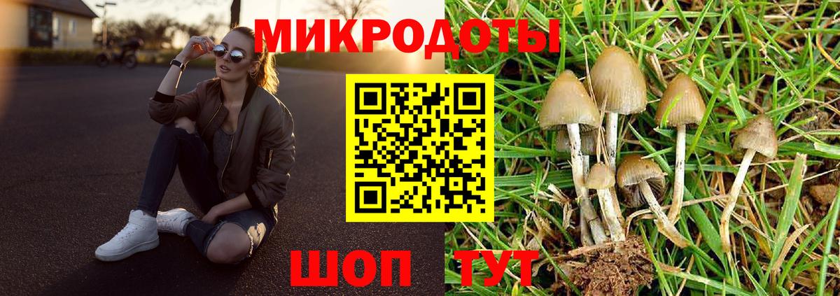 Псилоцибиновые грибы Psilocybine cubensis Морозовск